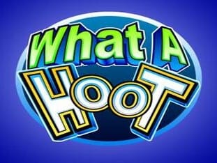 What A Hoot thumbnail